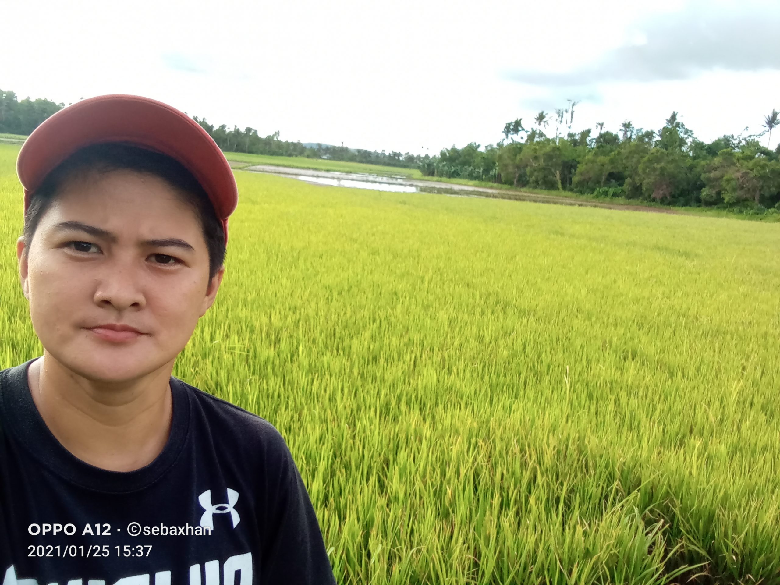 Young Farmers Open Letter Entry #9: Shiela Lyn Nollan, Philippines ...